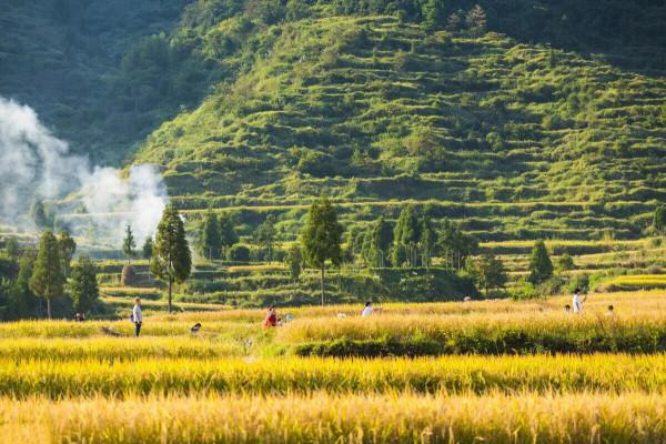 關於老家的記憶