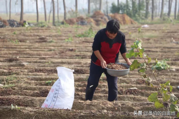 這才是真實的十月鄉村，純樸而美好，看後彷彿回了一次老家