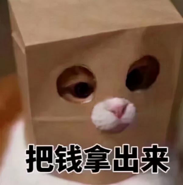 被揍出來的名將？博士學霸不爽被爆船，為復仇稱霸整片星域