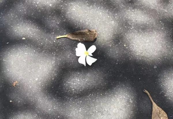 每日故事2——十年 每日故事2——十年