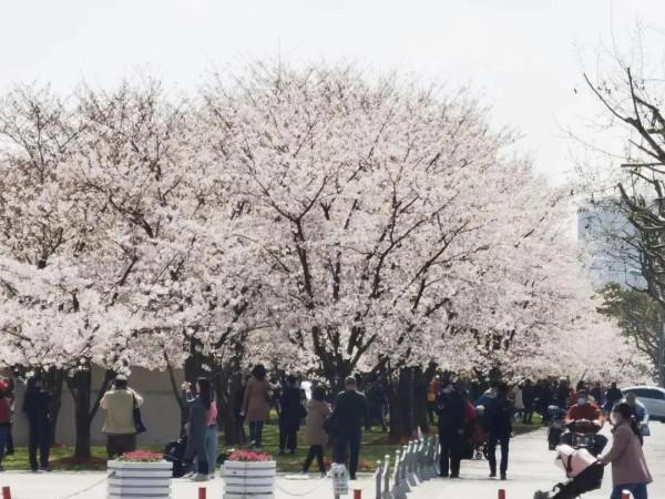 六個“夢”之筆記（五）