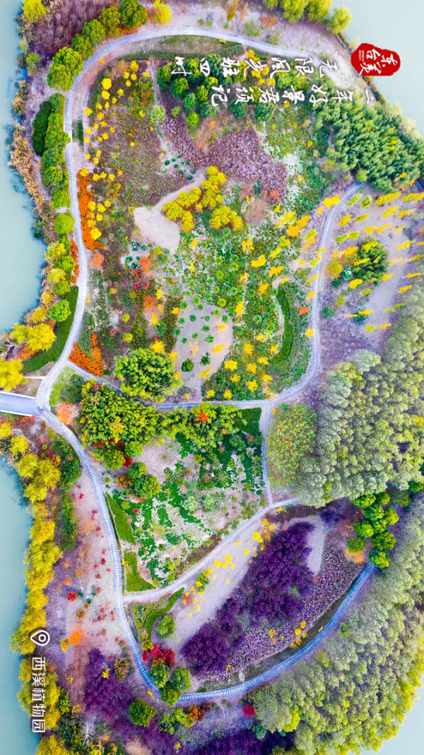 一起走過東臺最美的四季