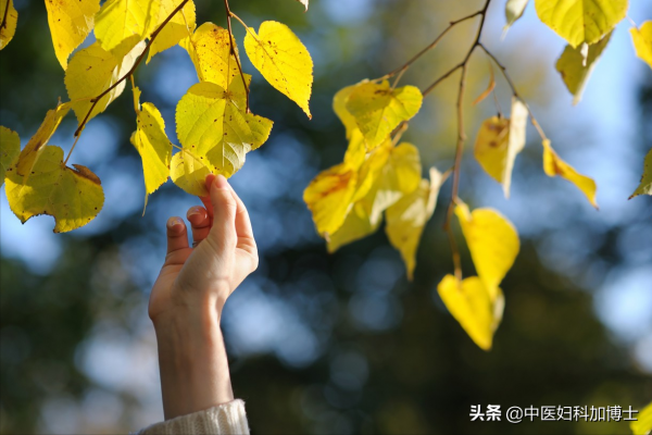 寒露節氣後，醫生提醒：女性養生要點三則