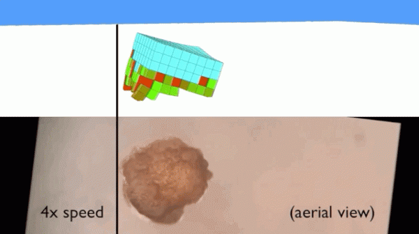人工智慧的產物！全球首個活體機器人能“生娃”，但引來倫理爭議