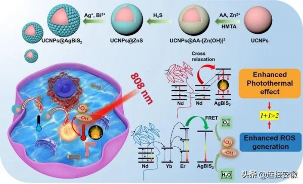 安醫大研發新型生物材料助力腫瘤醫療