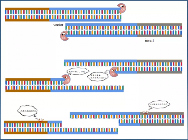 乾貨 | 重組克隆總連不上，我emo了