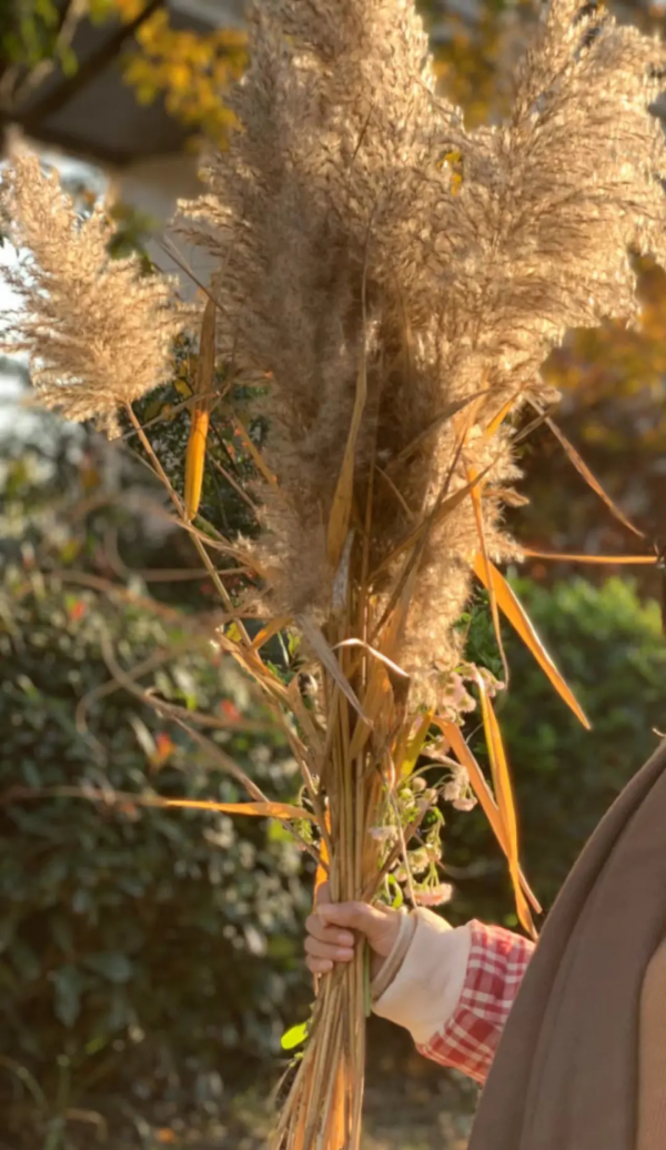 理髮，以及為什麼過年了總有人勸你“做頭髮”？