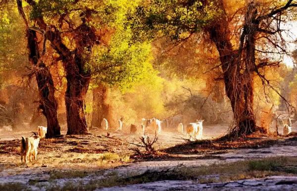 國內6條超驚豔的自駕路線，橫跨東西南北，一路風景賞心悅目