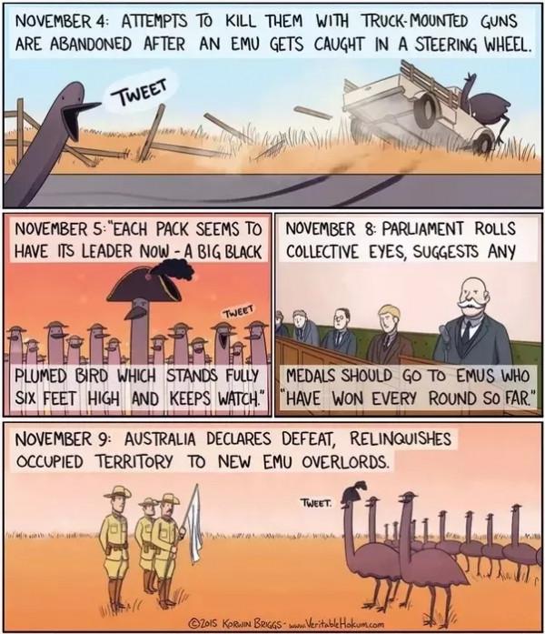 鴯鶓戰爭：1932年，帶機槍的“澳大利亞皇家軍團”，被一群鳥擊敗