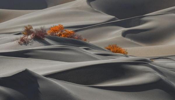 萬人說新疆丨新疆：沙漠美景似油畫