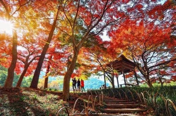 醉美中國，在秋天