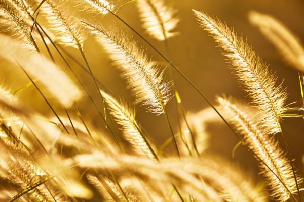 吳亦凡事件的背後