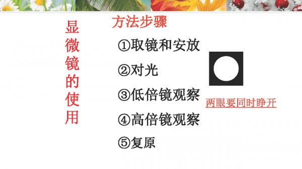 請家長列印：七年級上冊生物 期末考點+思維導圖+ 答案模板