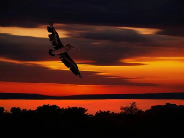 海洋的景色，真美