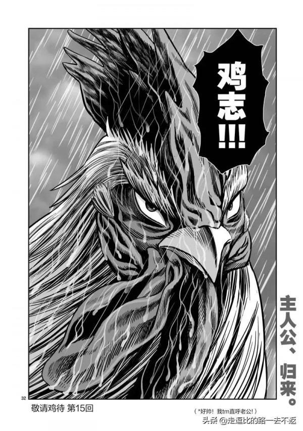 漫畫｜社會我雞哥，人狠話不多