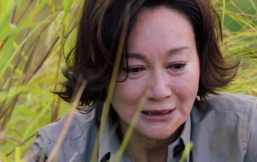 從TVB視後看港劇興衰史，盤點1997年-2021年視後，差距就出來了