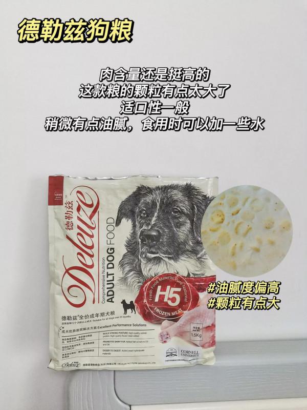 選狗糧其實就這兩點，新手養狗都知道