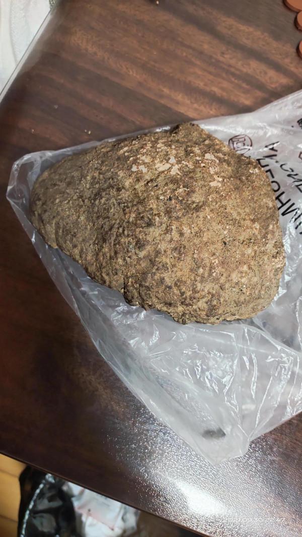 定向碳質球粒隕石