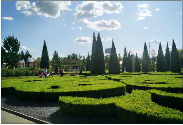 揭秘世界花卉大觀園三大“鎮園植寶”，樹齡相加超1000歲