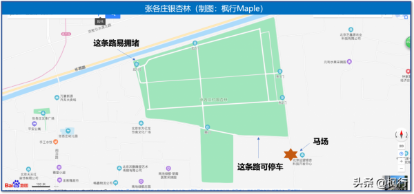 再有半個月，北京將迎來最美的季節，12個銀杏寶藏地，附機位攻略