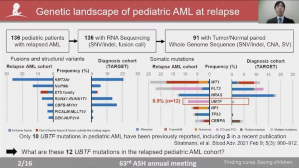 基因突變與克隆性造血有哪些聯絡，又如何指導AML危險分層？