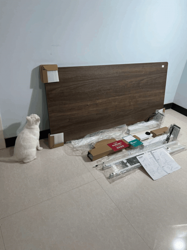 我的新桌面之初：樂歌電動升降桌LIFT1與明基EW2780U