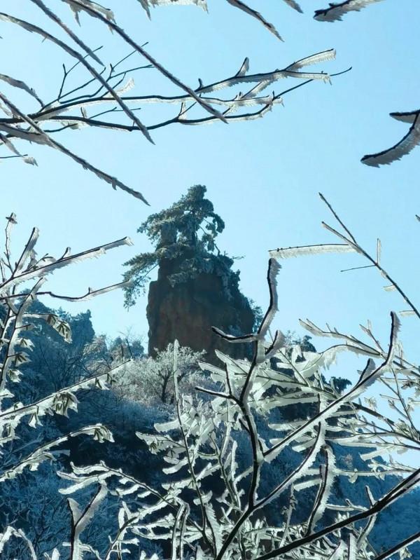 這裡的霧凇，驚豔了西河的冬日時光