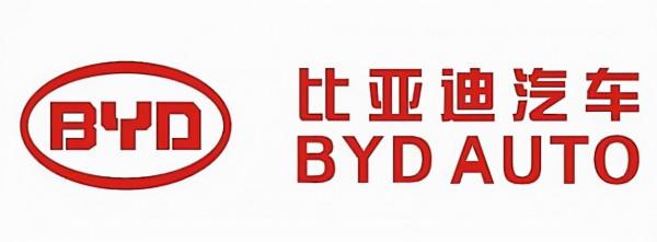 比亞迪資料搶眼！2021年1到11月新能源廠商銷量排名