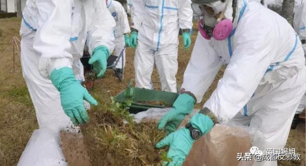 別人的命不值錢？日本公司竟騙外國勞工清理核汙染垃圾