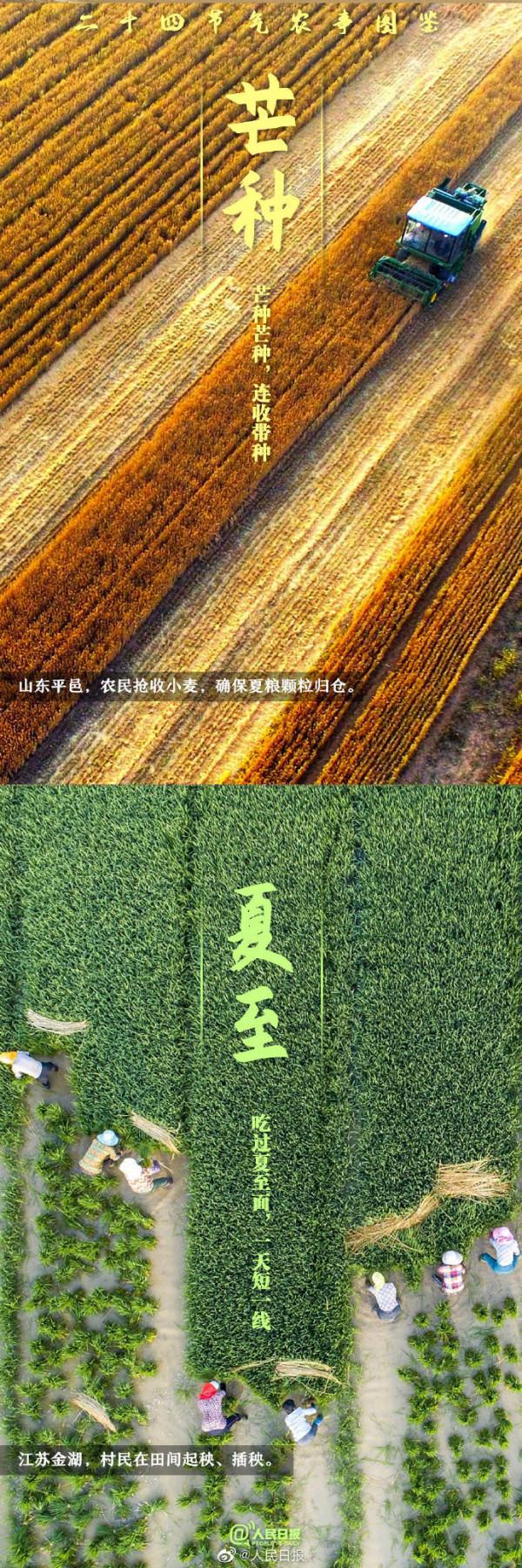 二十四節氣農事圖鑑 二十四節氣農事圖鑑