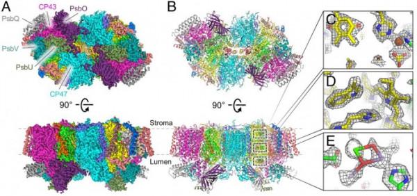 科學家公佈關鍵酶的“藍圖”或包含新合成太陽能燃料催化劑的設計原則