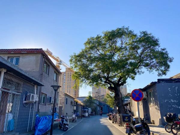 模式口大街,感受千年古道!別有一番風景 模式口大街,感受千年古道!別有一番風景