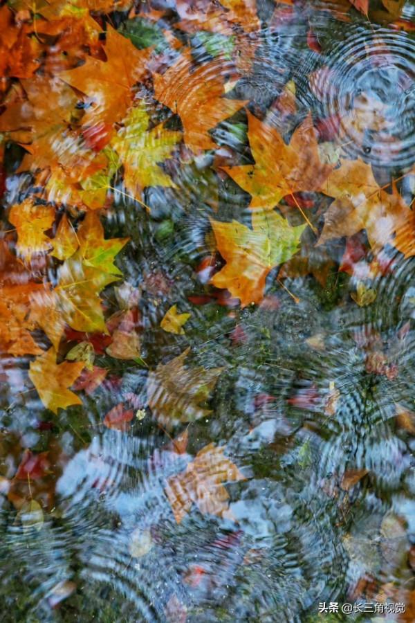 煙雨江南，水韻湖州——雪不來，聽雨也是一種心境