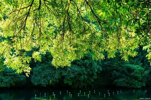 一首很有氣勢的詩，雖然只有短短的20個字，但是以小見大境界開闊