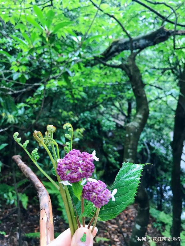 人生很短，天涯很遠，2022如若疫情淡去，唯旅行美食不可負也？