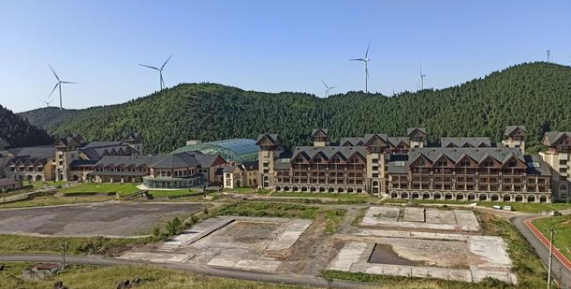 老隆鑫人獨家揭秘：企業是如何一步步倒下的？