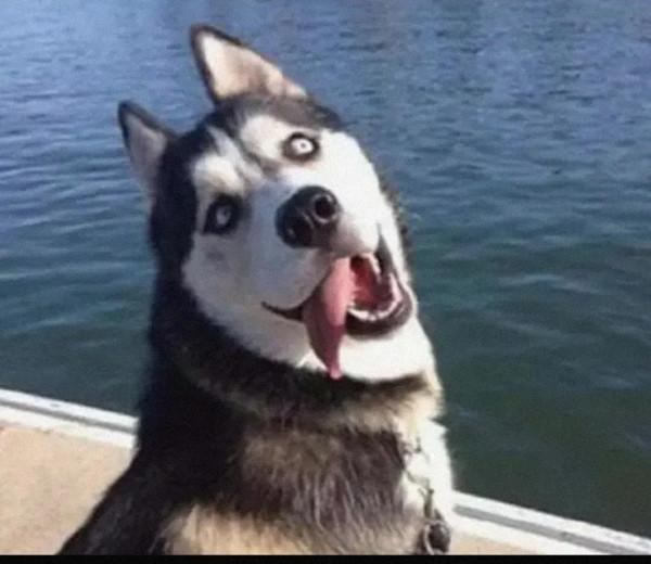 今天的比賽我不確定