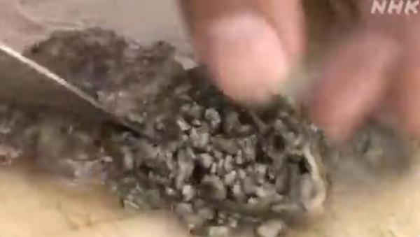 日本沖繩海灘大面積死魚漂浮 腹中塞滿火山石(圖)