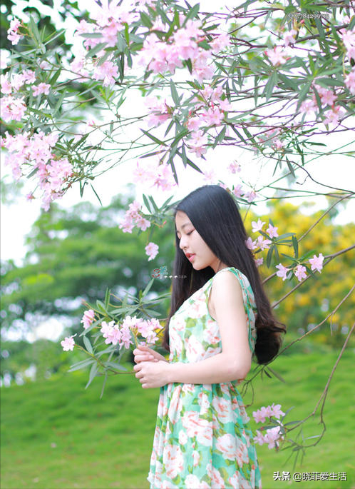 漂亮的有毒花！認識20種“大毒花”，遠離危險