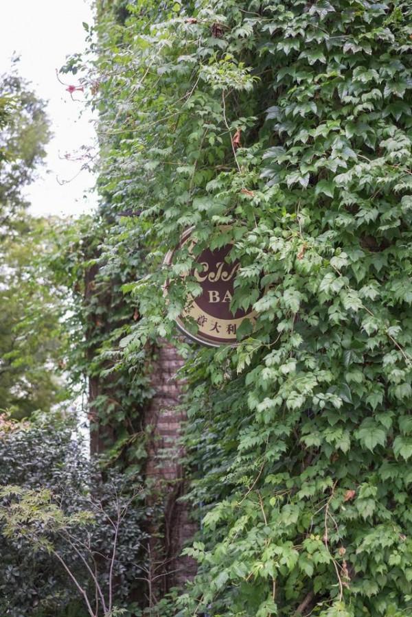 不是景區住宅小區，快二十年了，還有很多人來打卡