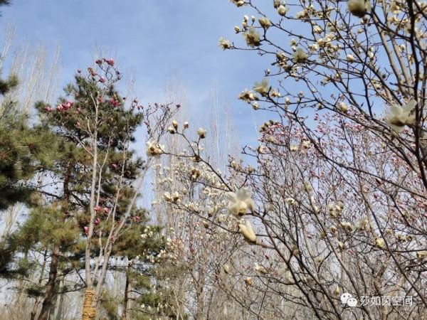 類風溼關節炎輔助治療方法之飲食篇 類風溼關節炎輔助治療方法之飲食篇