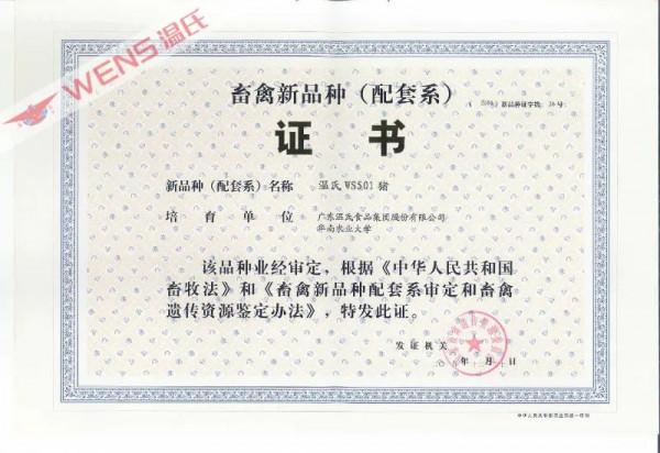 獲一等獎！這項研究成果為全國400多家豬場提供優質種豬和技術