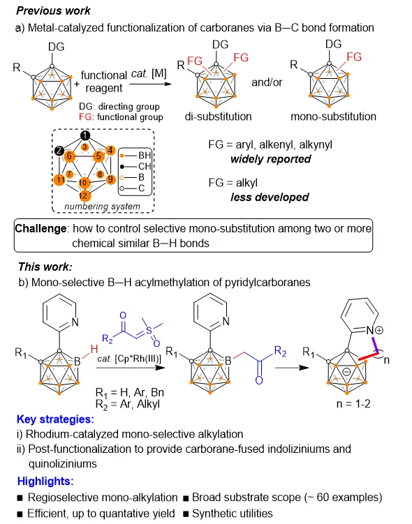 南京大學燕紅課題組實現碳硼烷硼氫鍵的選擇性單烷基化及相...