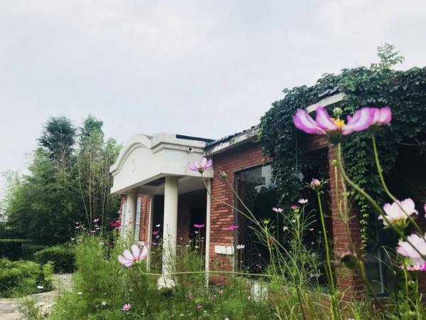 不搞點大動作，怎敢驚擾您||玉京溫泉邀您免費泡溫泉啦！