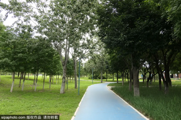 親切!家門口的這些免費小公園,承包你不出遠門的夏天! 親切!家門口的這些免費小公園,承包你不出遠門的夏天!