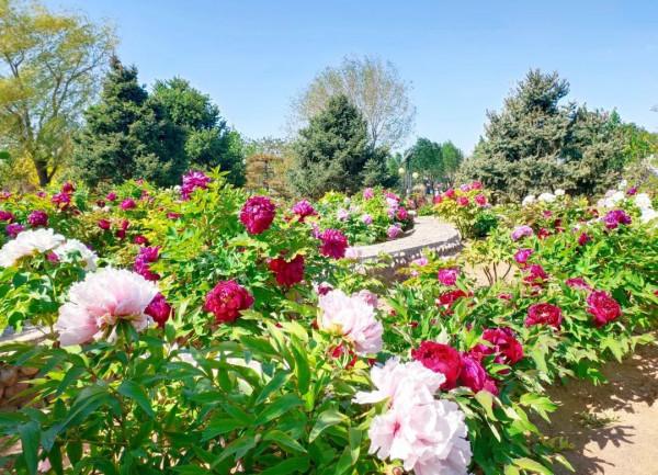 【FENG娛】速看!世界花卉大觀園裡有什麼?細數那些藏不住的精彩! 【FENG娛】速看!世界花卉大觀園裡有什麼?細數那些藏不住的精彩!