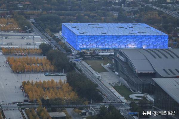 奧林匹克公園最美“秋黃”,銀杏樹密地兒大葉黃,夜裡更美 奧林匹克公園最美“秋黃”,銀杏樹密地兒大葉黃,夜裡更美