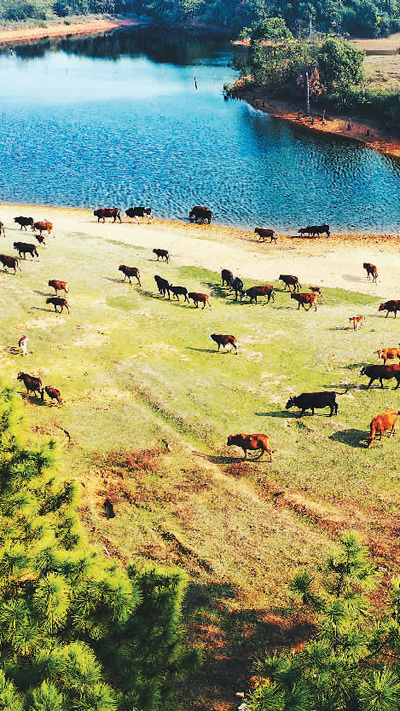 新生活、新奮鬥的起點