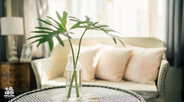 好好說話,可以改變命運 好好說話,可以改變命運