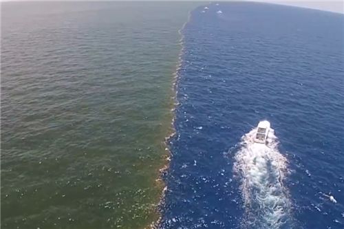 為什麼太平洋和大西洋間,會有明顯的分界線?難道海水不混合嗎? 為什麼太平洋和大西洋間,會有明顯的分界線?難道海水不混合嗎?